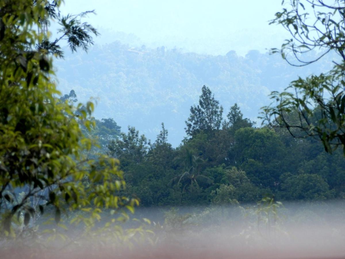 Drizzle Valley Cottage มุนนาร์ ภายนอก รูปภาพ