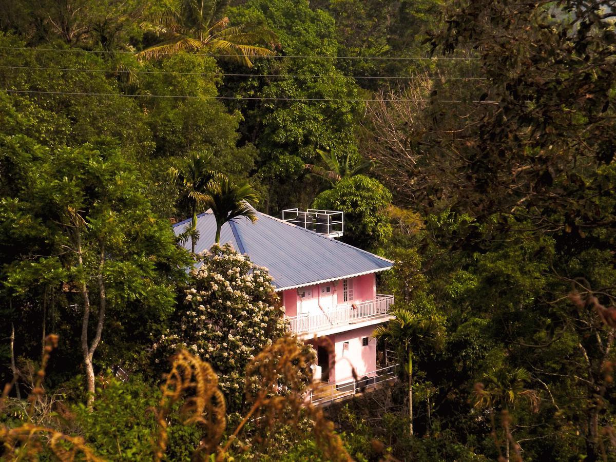 Drizzle Valley Cottage มุนนาร์ ภายนอก รูปภาพ